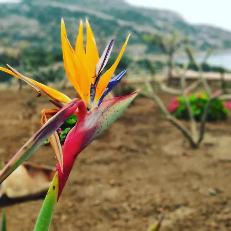 Ardani Paradise View With Jacuzzi Αμμοοπή