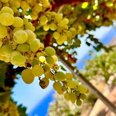 Ardani Paradise View With Jacuzzi Villa *