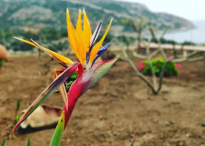 Ardani Paradise View With Jacuzzi Amoopi