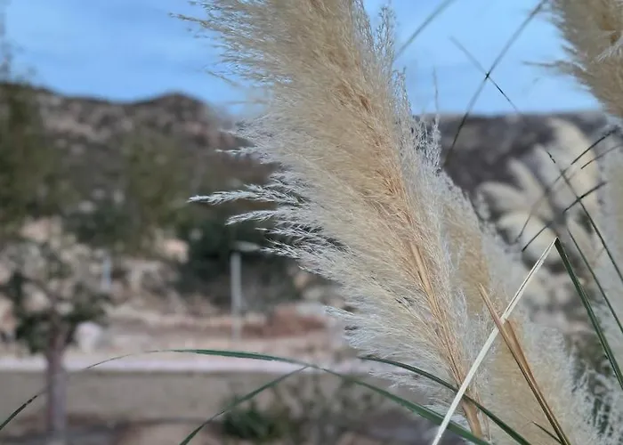 Ardani Paradise View With Jacuzzi Villa