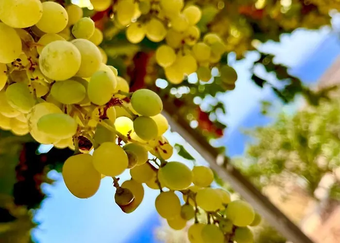 Ardani Paradise View With Jacuzzi Villa *